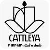 لوگو کاتلیا